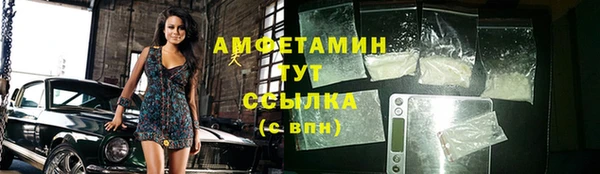 ECSTASY Алзамай