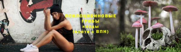 ПСИЛОЦИБИНОВЫЕ ГРИБЫ Алексеевка