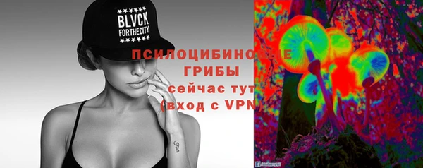ECSTASY Алзамай