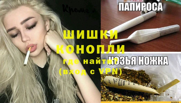 ПСИЛОЦИБИНОВЫЕ ГРИБЫ Алексеевка