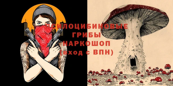 ПСИЛОЦИБИНОВЫЕ ГРИБЫ Алексеевка