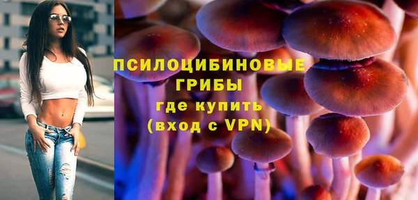 ПСИЛОЦИБИНОВЫЕ ГРИБЫ Алексеевка