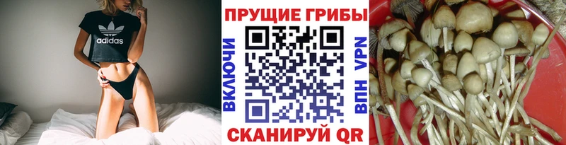 гидра маркетплейс  Павловская  Галлюциногенные грибы ЛСД  наркошоп 
