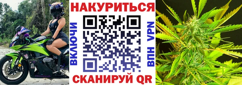 Каннабис конопля  Павловская 